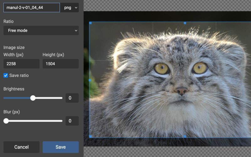 Quantum Manager showcase