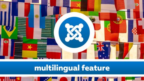 Use on multilingual sites